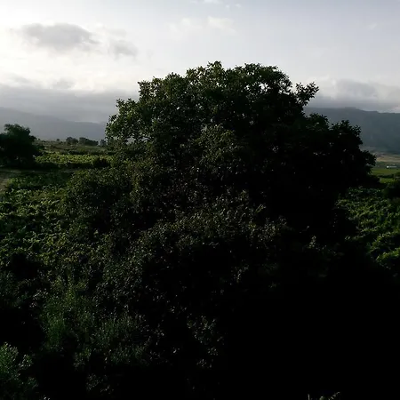 Etna Oasi Passopisciaro