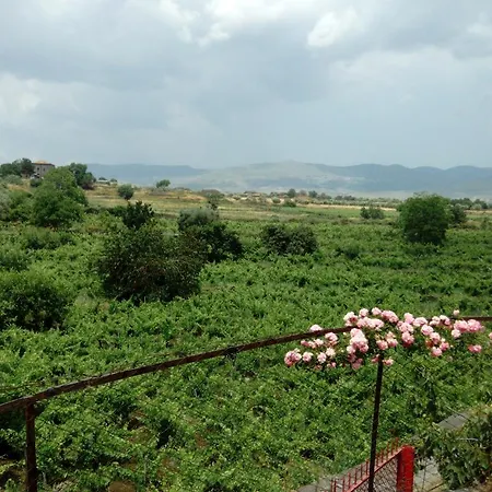 Etna Oasi