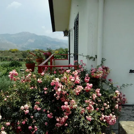 Etna Oasi Passopisciaro