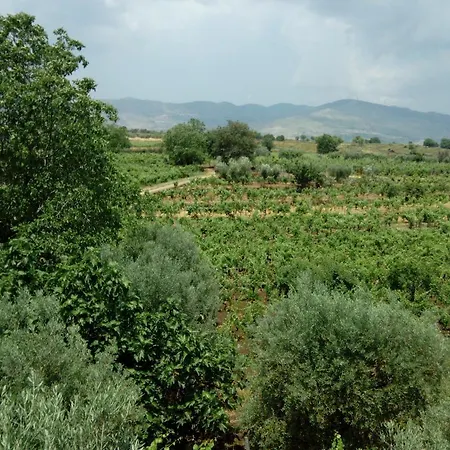 Etna Oasi Passopisciaro