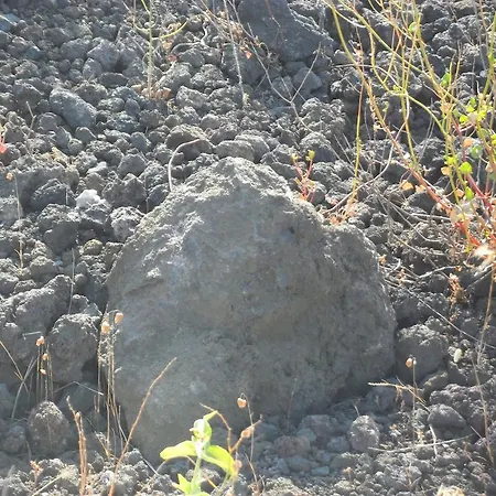 ゲストハウス Etna Oasi Passopisciaro
