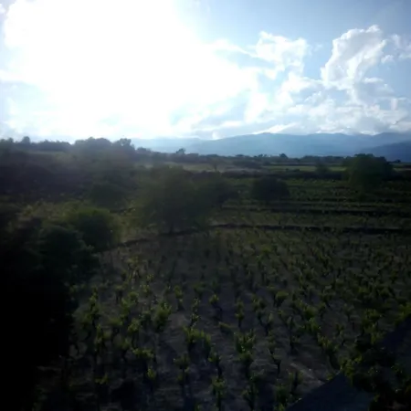 Etna Oasi *